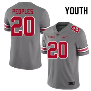 Youth James Peoples Grey Ohio State Buckeyes #20 Football Alumni Jersey 965570-946