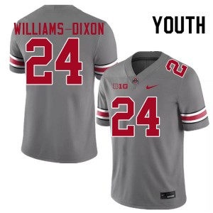 Youth Sam Williams-Dixon Grey Ohio State Buckeyes #24 Football High School Jersey 164142-480